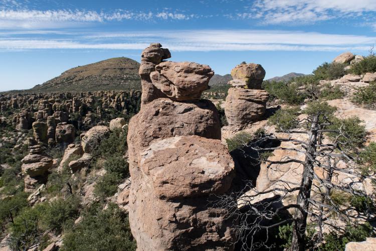 Chiricahua National Monument