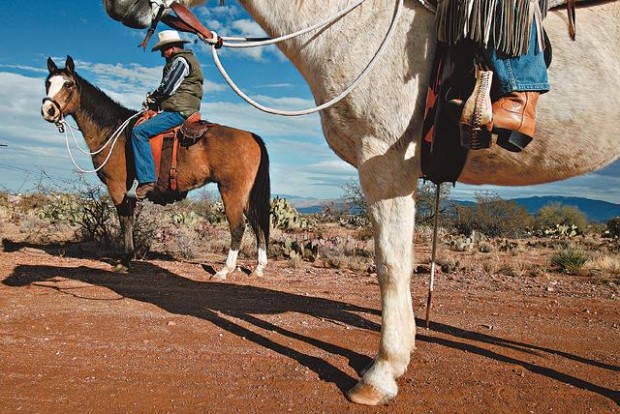 Horses, riders losing ground  