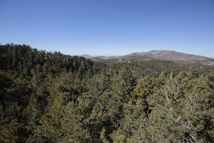Trails on the eastern slopes of the Santa Catalina Mountains