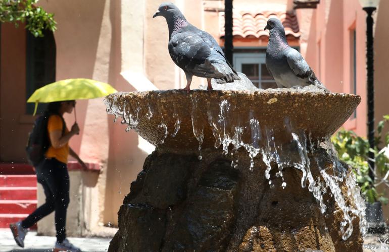 Days of near-record highs hit Tucson, but relief in sight