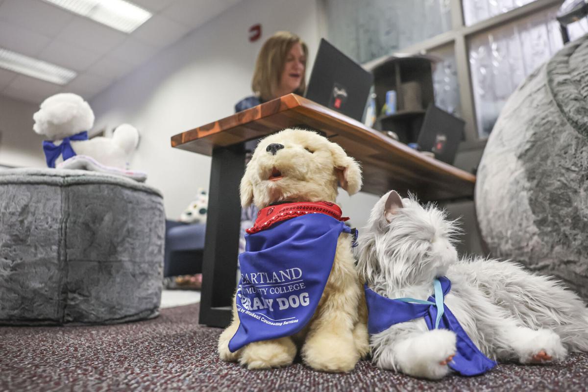 Bloomington-Normal college students have access to wide range of mental health support