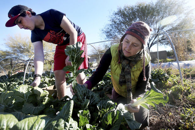 River Road Gardens at Tucson Waldorf School