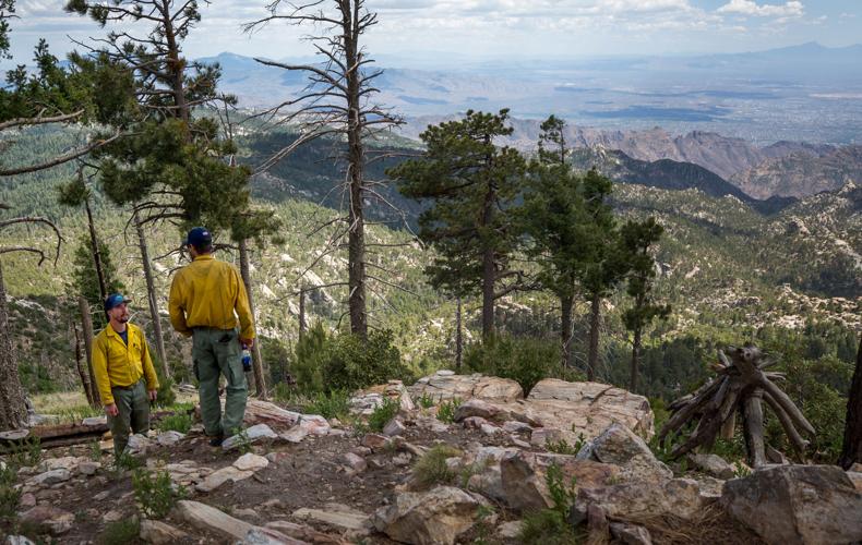 Bighorn Fire- Arizona