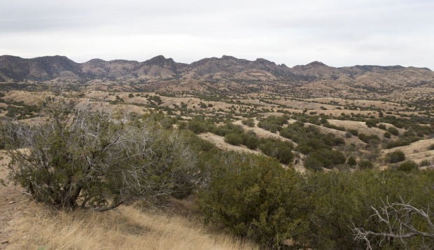 Rosemont Mine