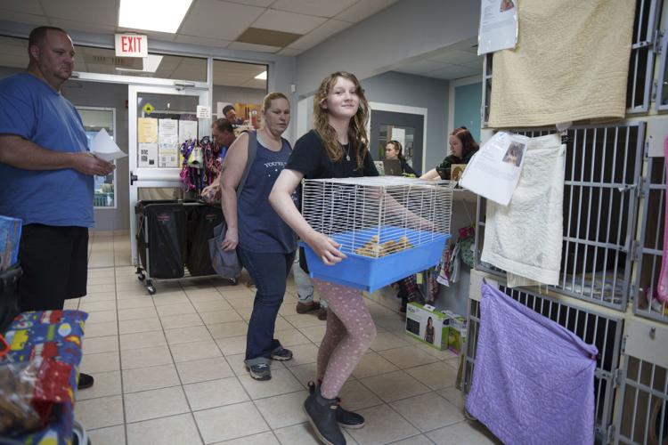 US--Abandoned Chicks