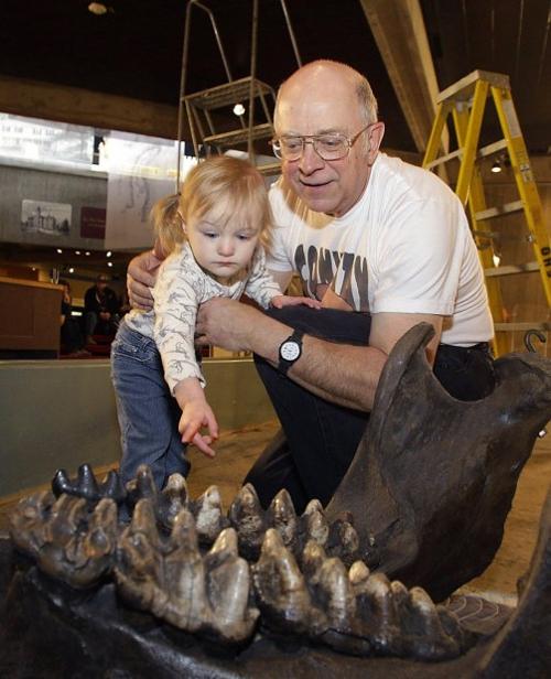 Museum moves mastodon to more flattering position   