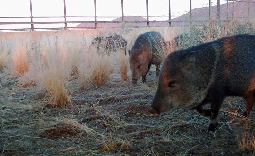 Tucson speaks out: June 10