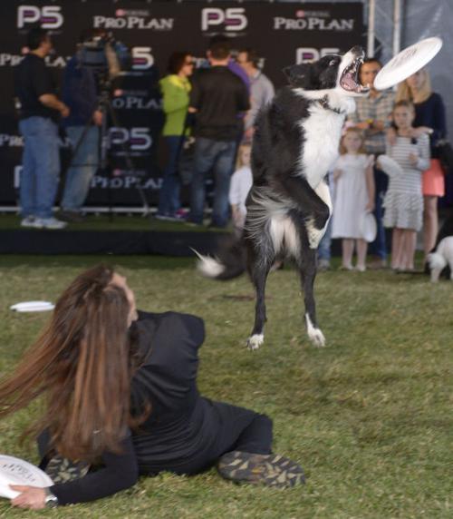 Animal shots of the week