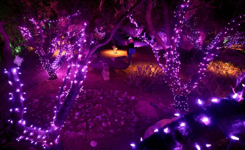 Holiday Nights at Tohono Chul