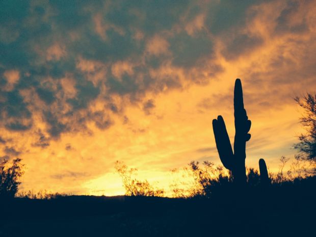 Photo of the day: Tucson sunrise
