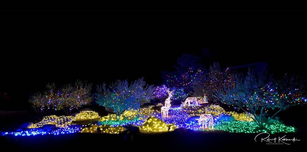lights.jpg