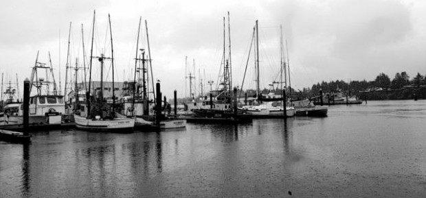 Salmon boats struggle to stay afloat  
