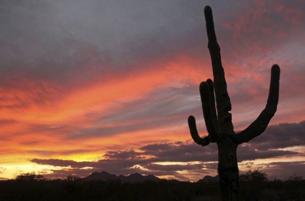 Ironwood Forest National Monument