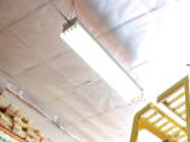 Tucson federal employees can get free diapers, feminine products today; pet  food tomorrow | Local news | tucson.com