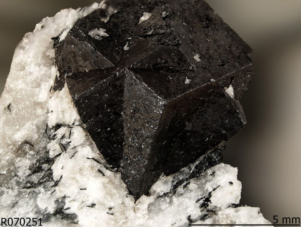 Arizona is new frontier in search for vital 'rare earth' elements    