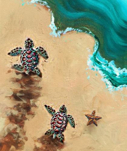 sea turtle tipsy picassos