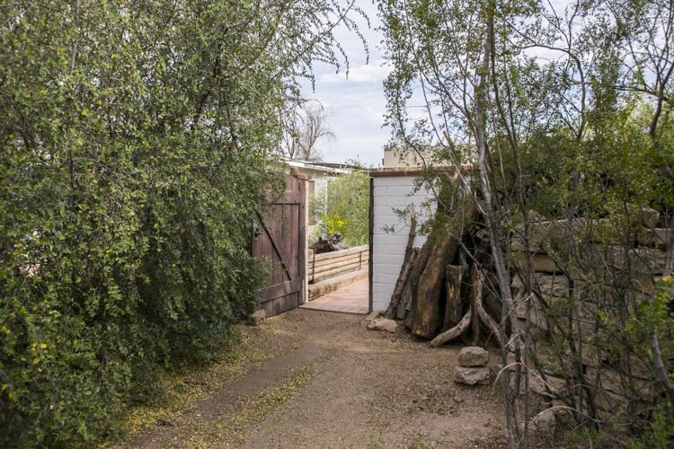 Audubon Society Yard