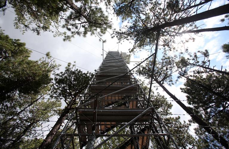 Trails on the eastern slopes of the Santa Catalina Mountains