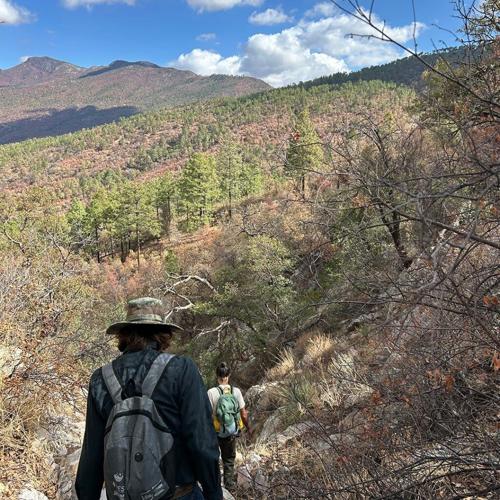 A New Stage for Spring Monitoring in APFF Bavispe