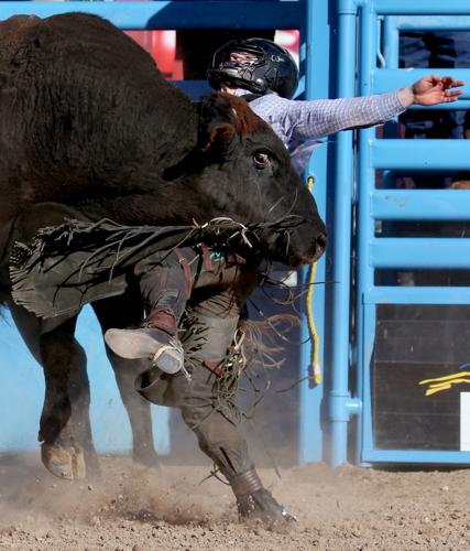 021819-spt-tucson rodeo-p3.jpg