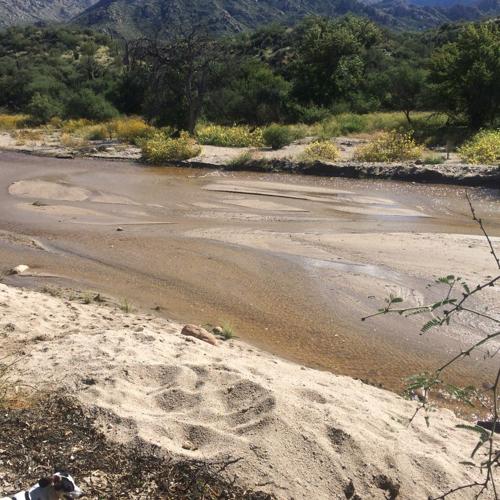 Catalina State Park: Going with the flow
