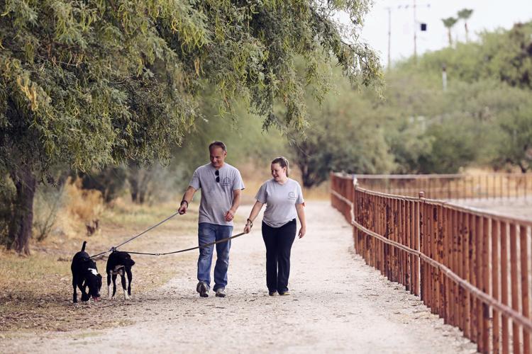 Humane Society of Southern Arizona Volunteering (copy)