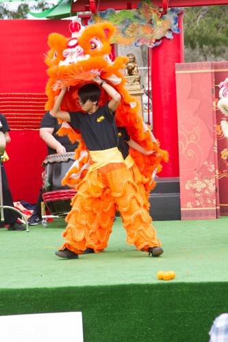 Chinese New Year 2017