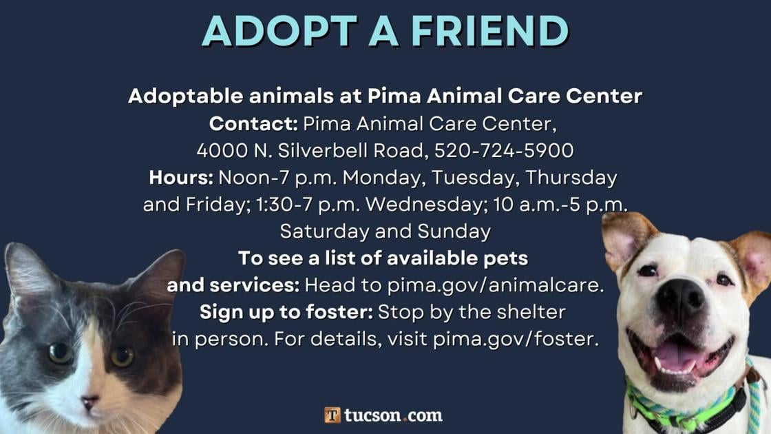 Adopt a friend: Local pets up for adoption for April 19