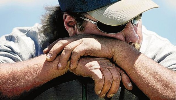 Tractor pull has draw all its own  