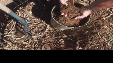 Planting for success: How to amend your garden soil | All things green