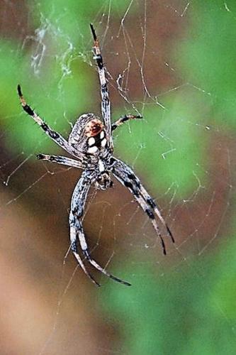 'Anywhere I go, I bring my camera'  