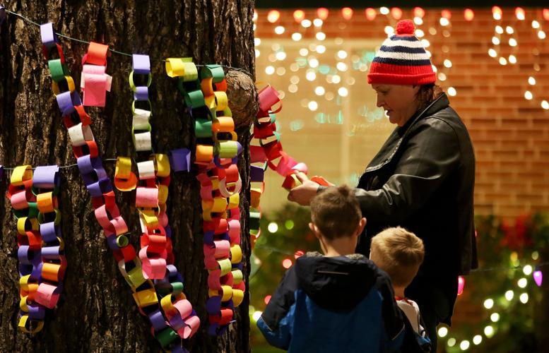 2017 Winterhaven Festival of Lights (copy)