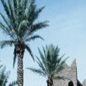 New Exhibit Opening Saturday At Tucson S International Wildlife Museum Local News Tucson Com