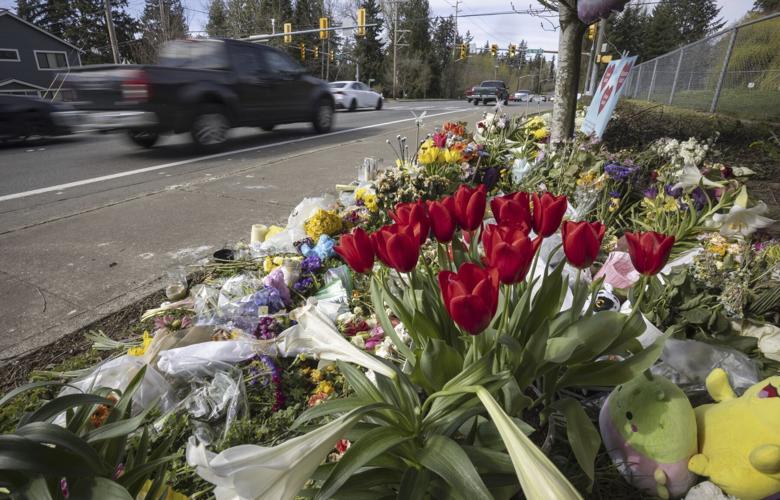 Speed Limiters Reckless Driving