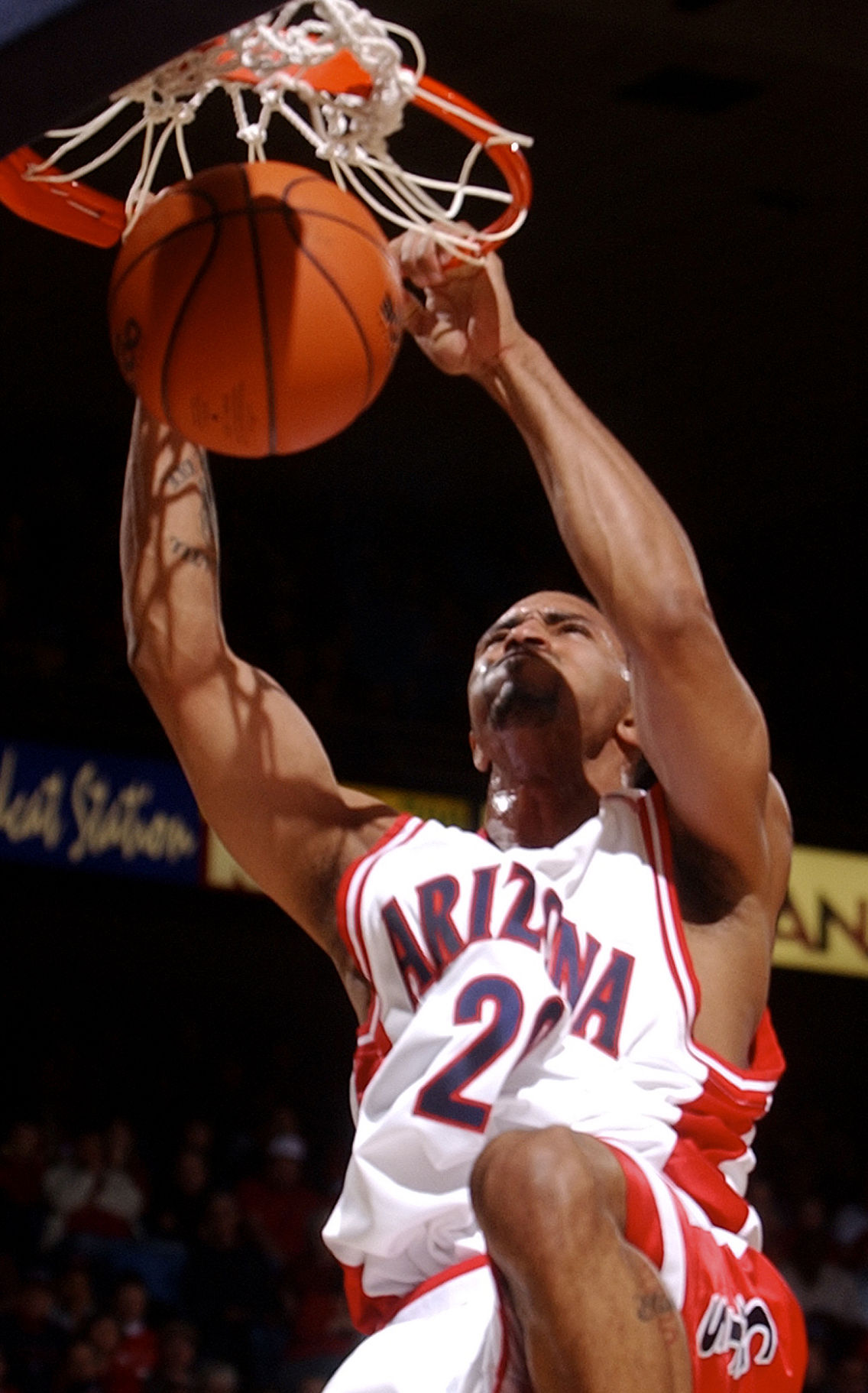 Salim Stoudamire