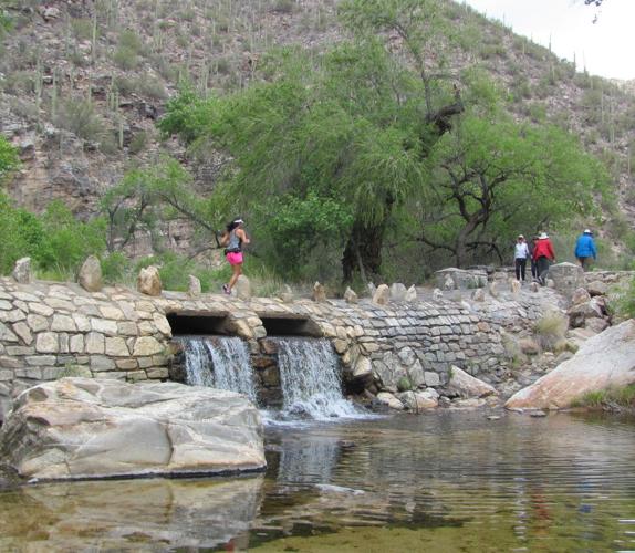 Sabino runner and hikers