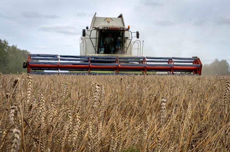 Russia Ukraine War Grain Deal Explainer