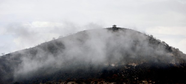 After the fire at Chiricahua National Monument