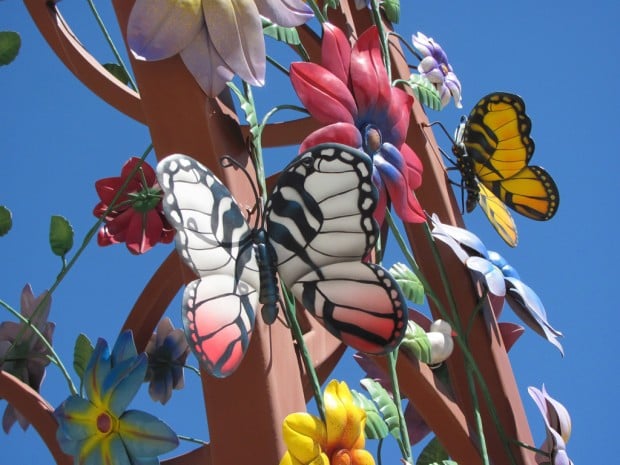 Tucson Oddity: Flowery covering sets stage for performances    