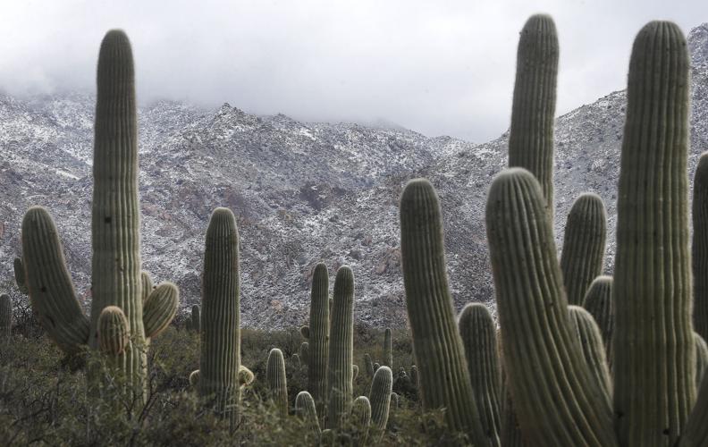 Snow in Tucson