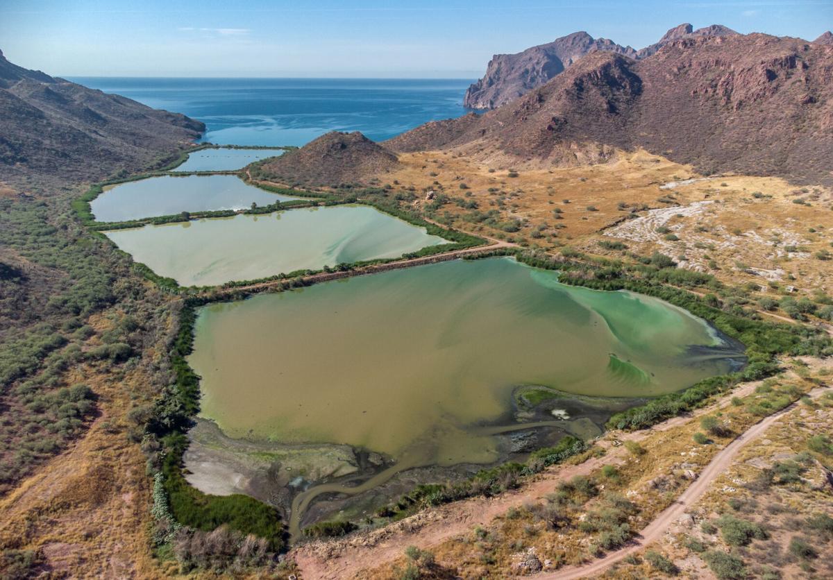 San Carlos, Guaymas, sewage, 2021