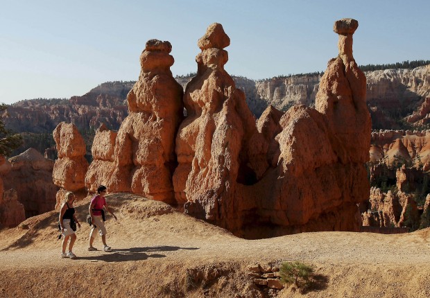 Bryce, Zion: study in hiking contrasts   