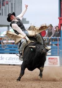 Wannabe riders say this beauty is a beast   