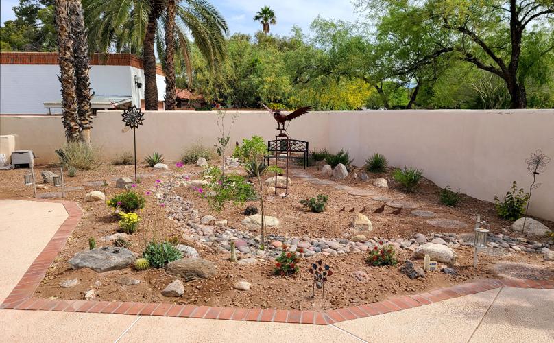 Push seeks to makeTucson pool ownership dive