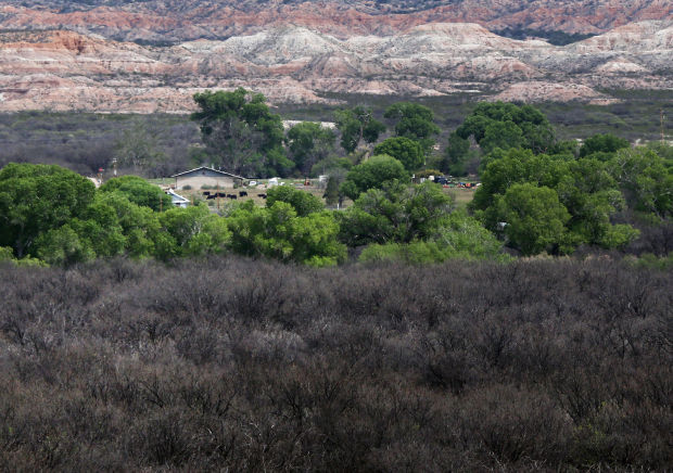 St. David Cienega in the San Pedro Riparian National Conservation Area