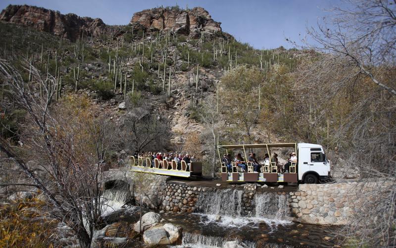 Sabino Canyon