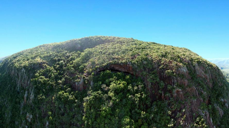 Early humans knew how to make comfy, pest-free beds, study says