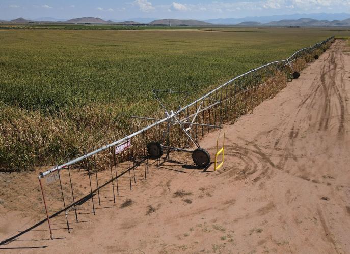 Arizona agriculture