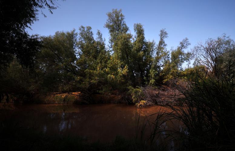 Santa Cruz River at Sanders Road crossing