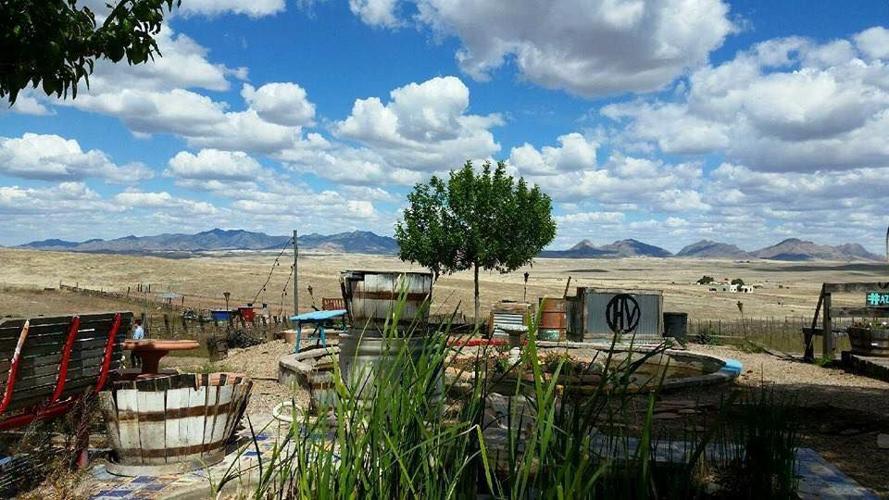 Arizona Hops & Vines